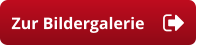 Zur Bildergalerie